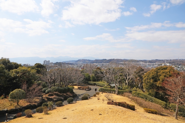 大磯城山公園の頂上から見た景色