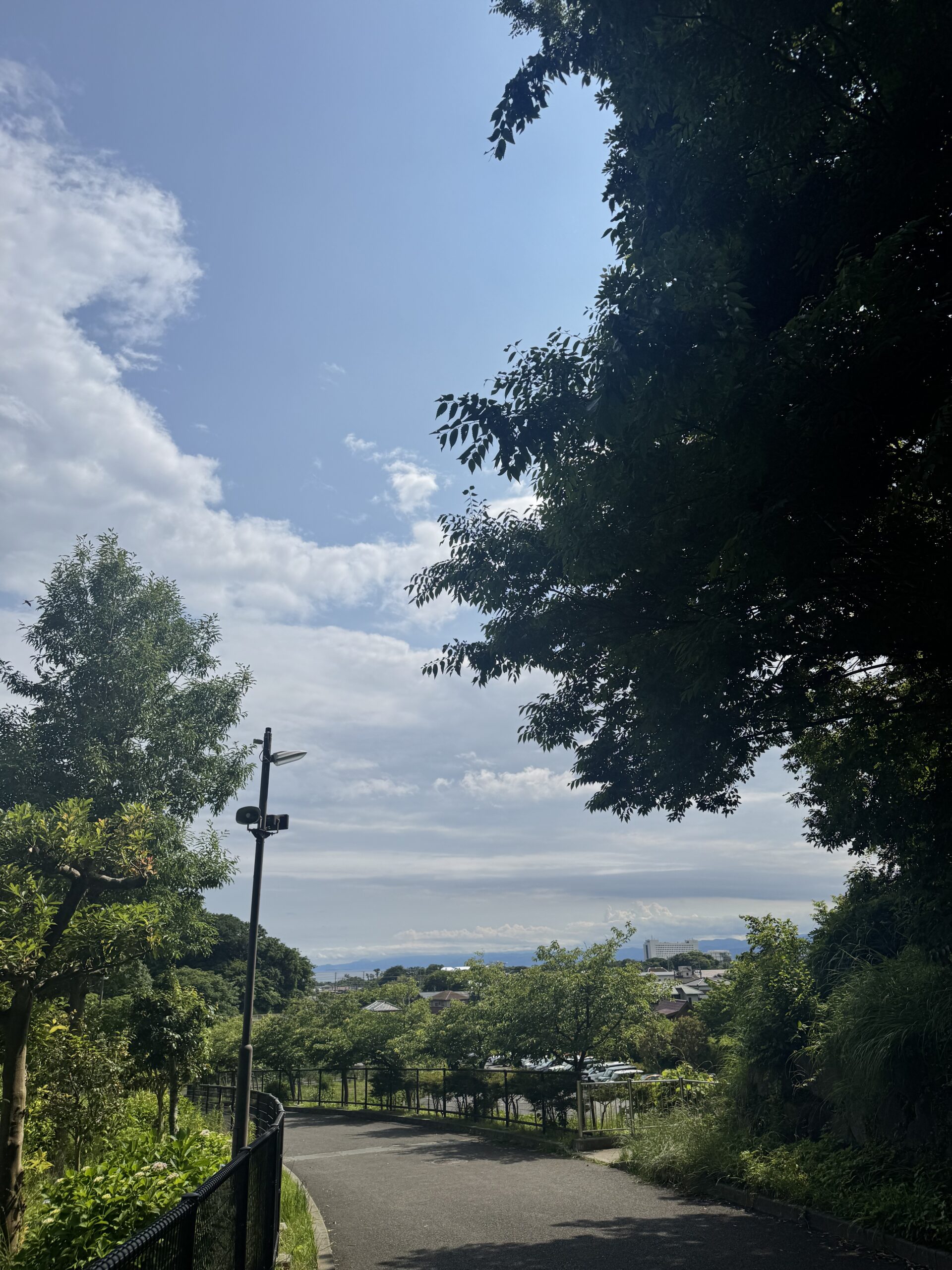 大磯総合公園から見える景色