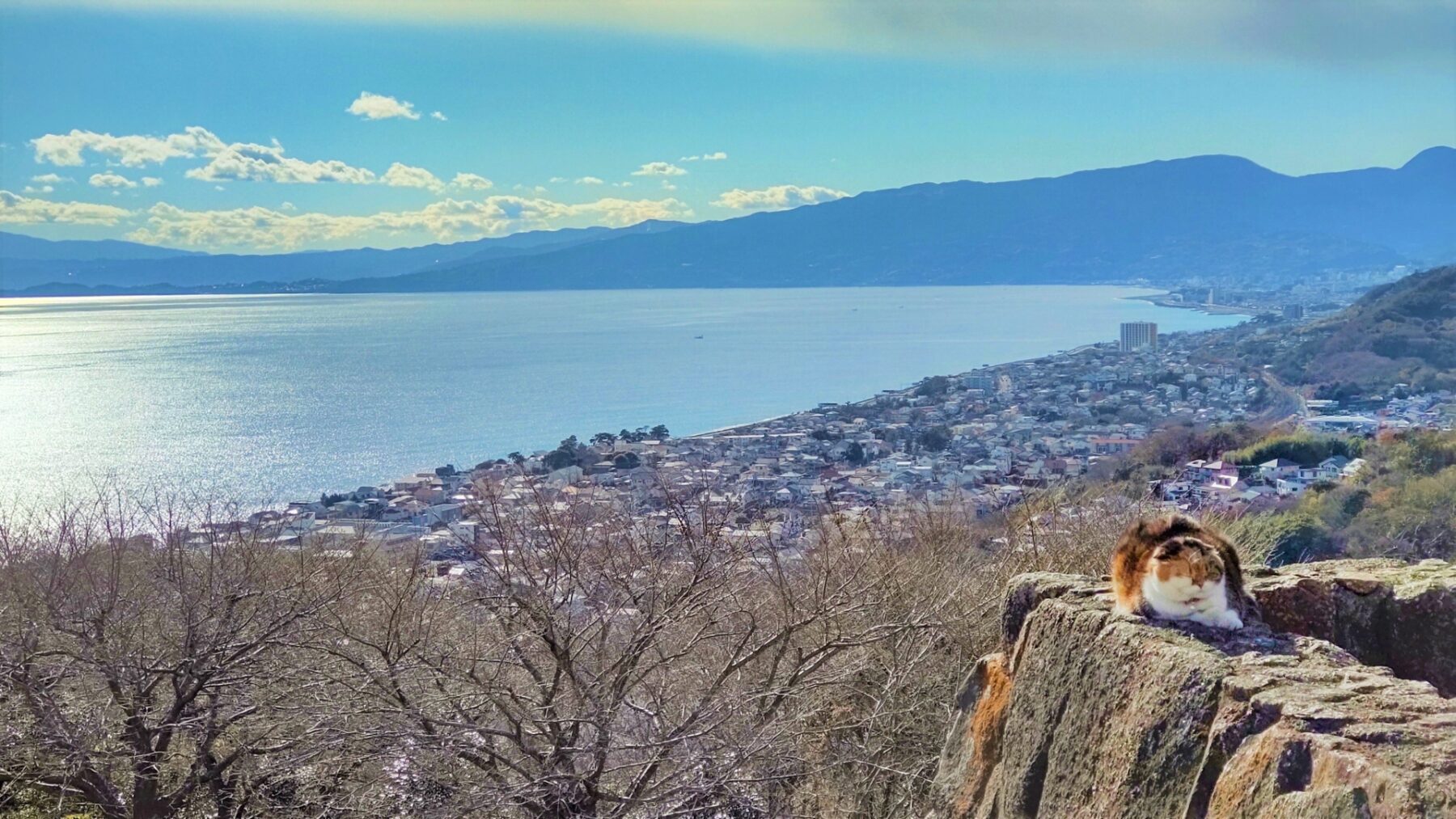 吾妻山から望む二宮町と相模湾の絶景｜岩の上にたたずむ猫の姿