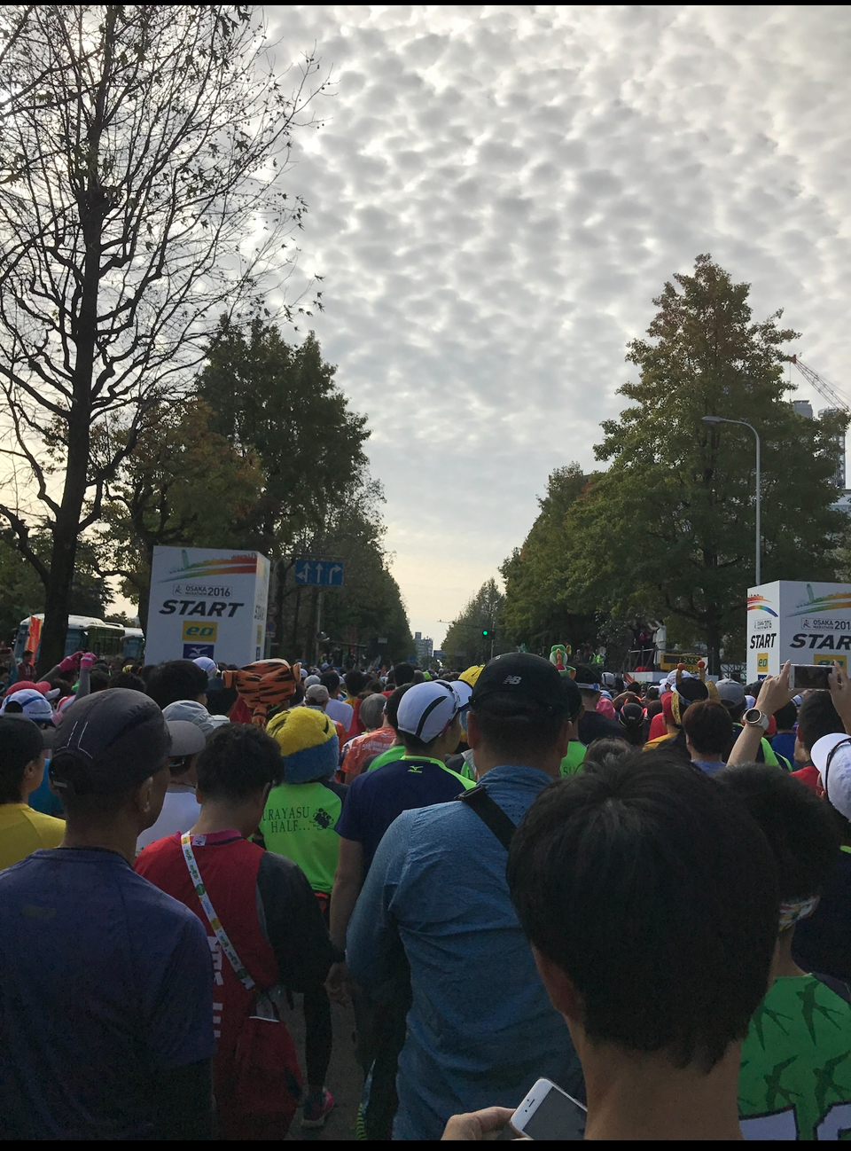 スタート直前の光景